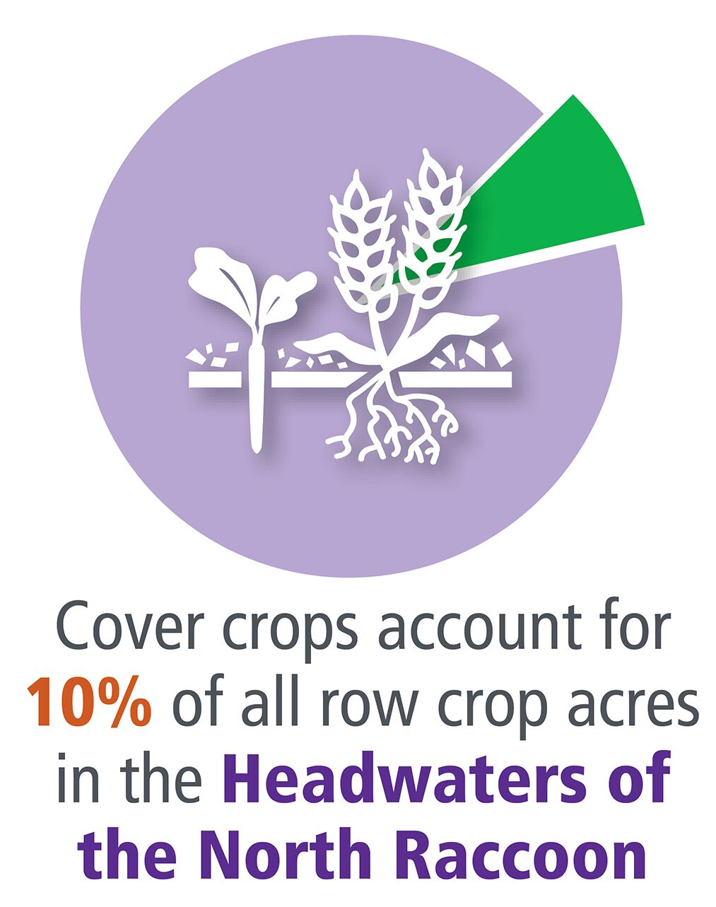 Cover crops account for 10% of all row crop acres in the headwaters of the North Raccoon.