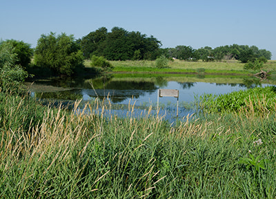 Edge of field practice helping improve Iowa water quality