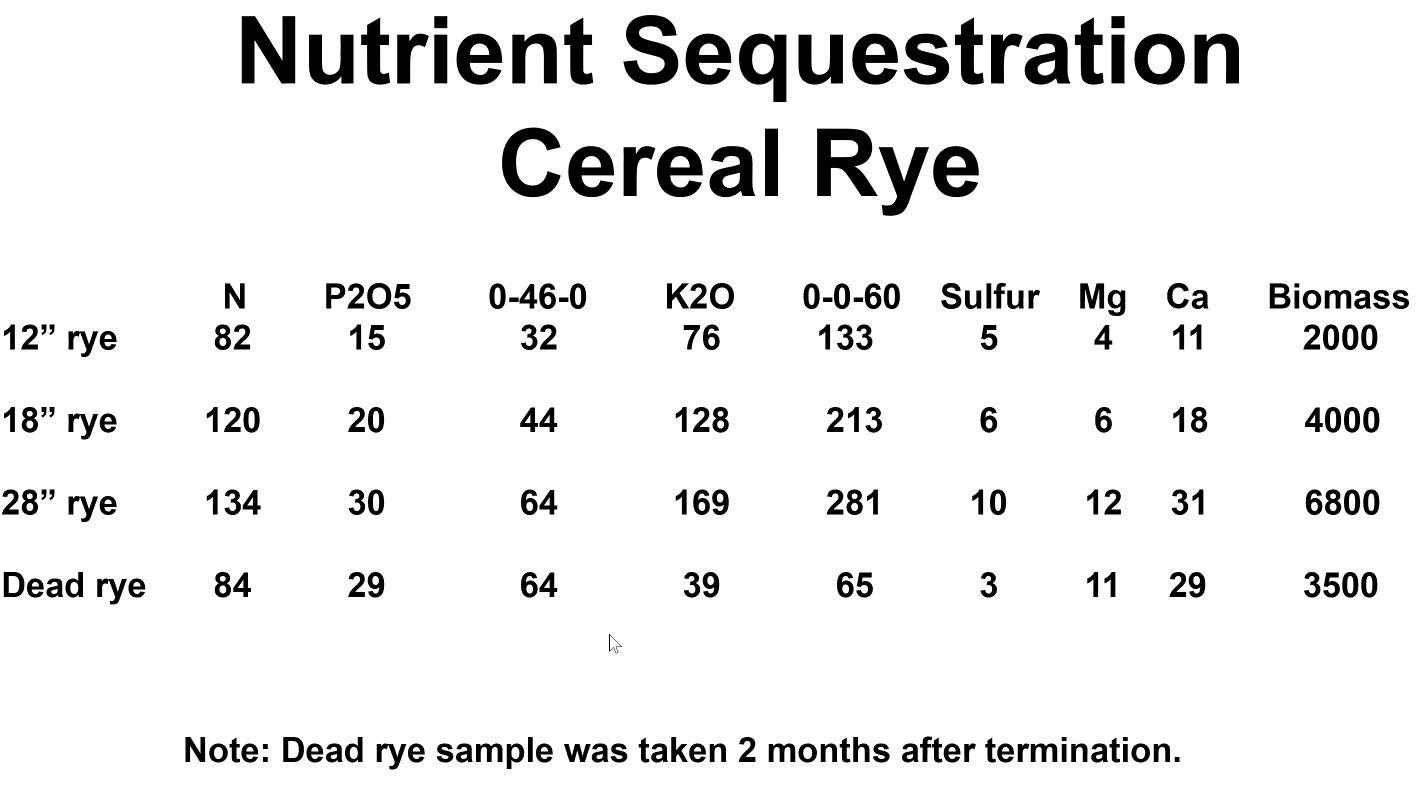 Cereal rye nutrient sequestration by size growth.