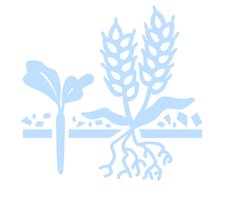 Light blue cover crops icon