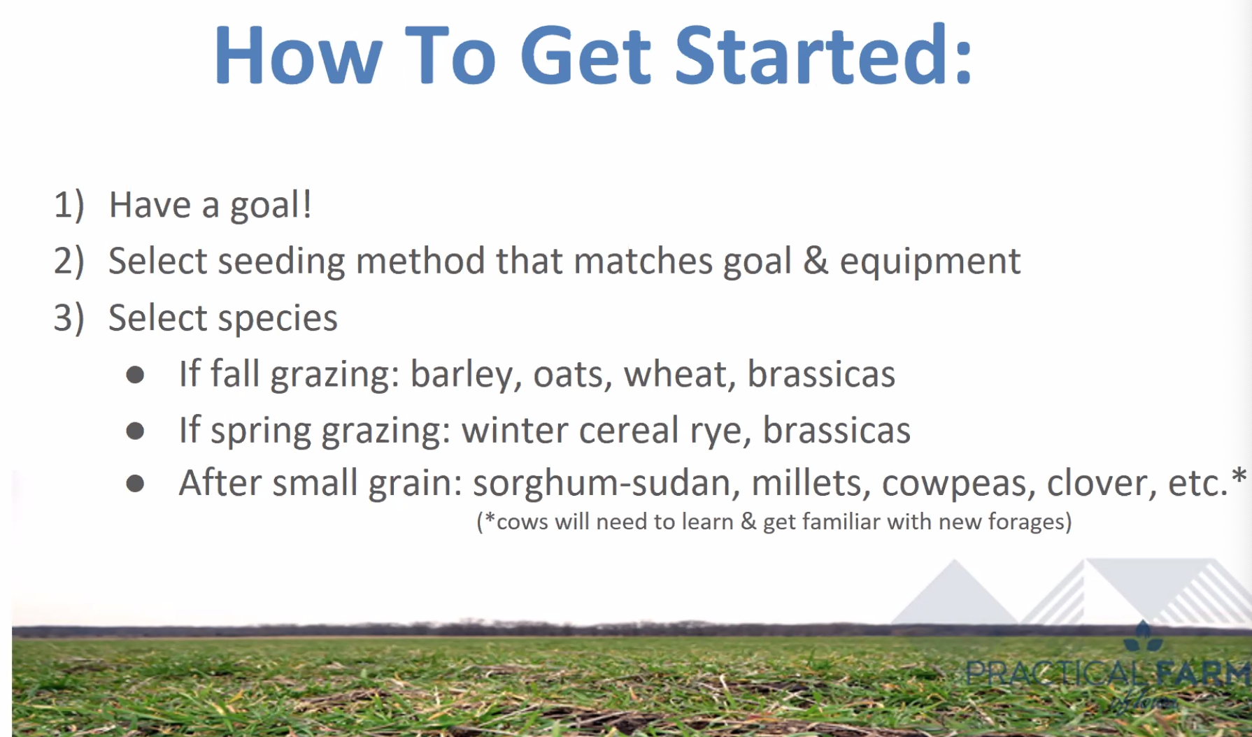 How to get started grazing cover crops.