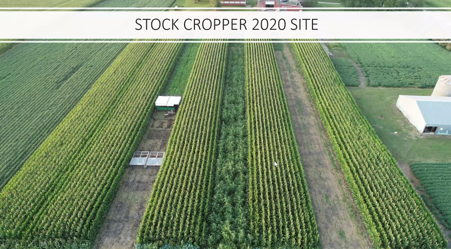 Stock Cropper aerial view Mid August.