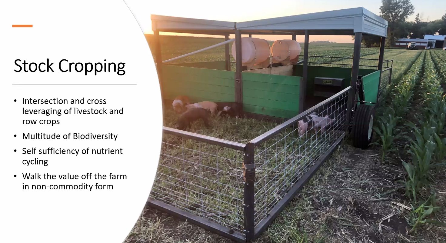 Four main benefits of stock cropping.