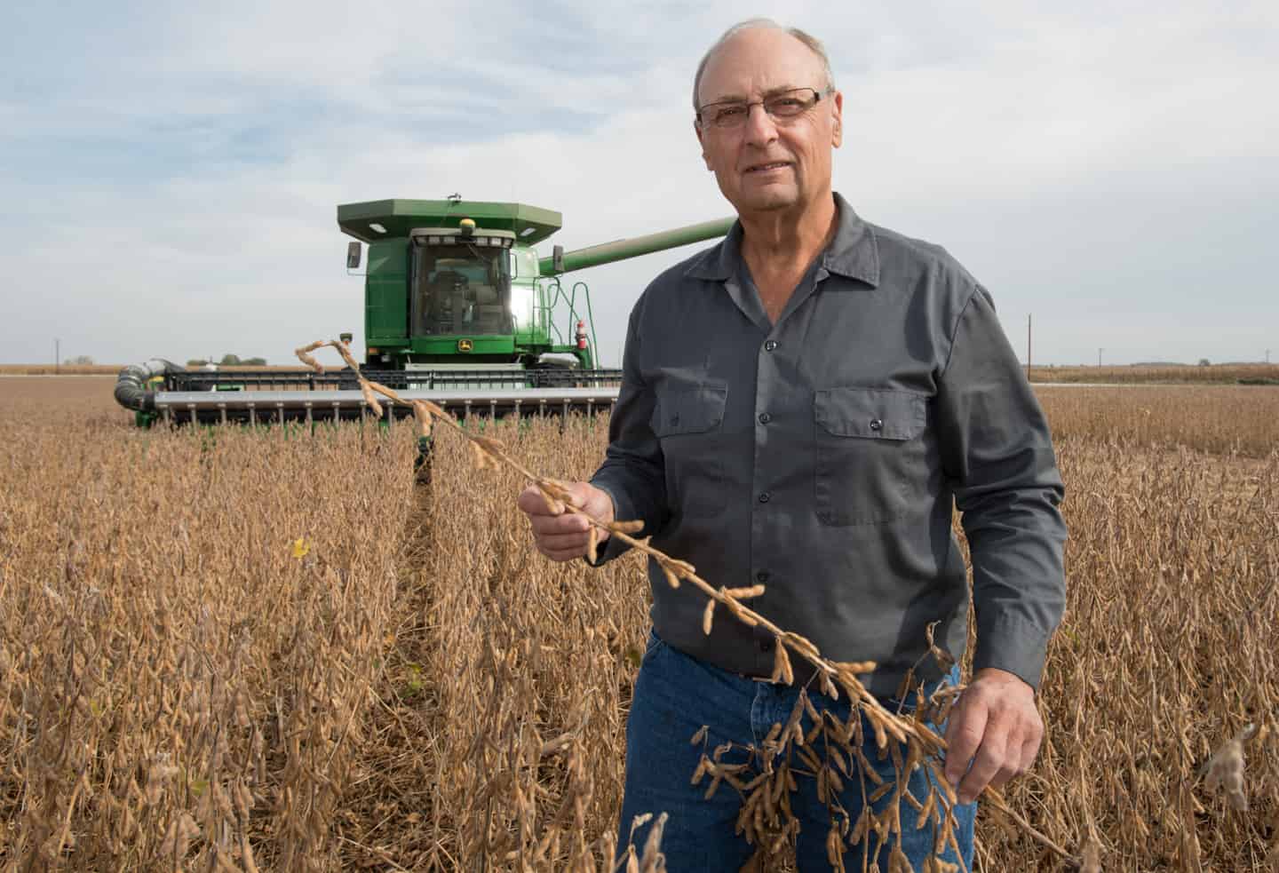 Wayne Fredericks in his field of soybeans