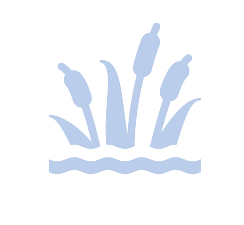 Light blue Constructed Wetlands IAWA practice icon