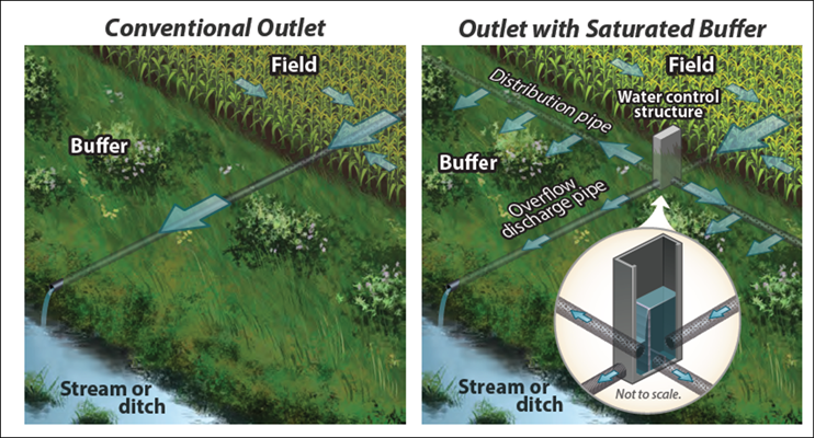 Illustration showing saturated buffer draining water more slowly at the edge of a stream