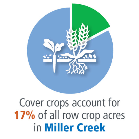 Cover Crops in Miller Creek Watershed