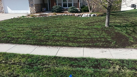 Added compost to an existing lawn.